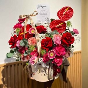 Anthurium Diana Bloombox (Premium) (D20/M)