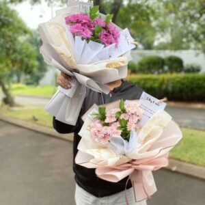 Just Aster Without Snowy (S)