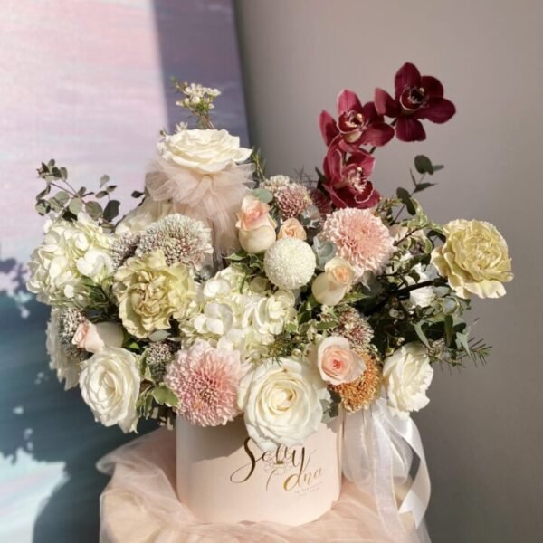 Cymbidium Diana Mix (Premium) (D20/L)