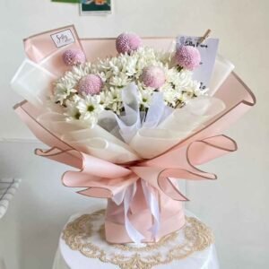 Aster Mix Poms (M)