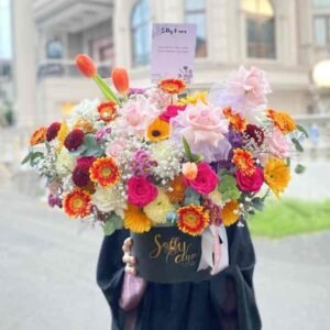 Tulip Diana Mix Bloombox (Premium) (D20/L )