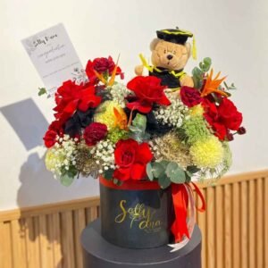 Diana Mix Box + Boneka Toga S (D20)